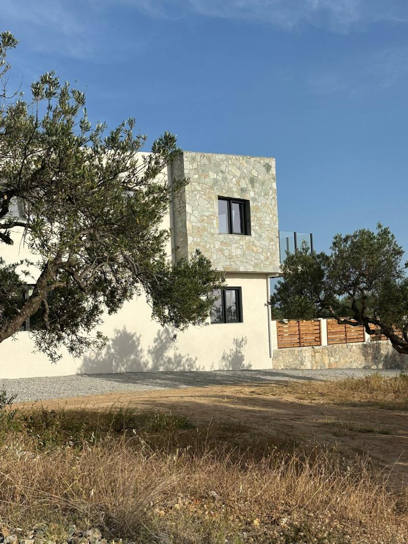 2026-02-17 at 09.22.39 (3)